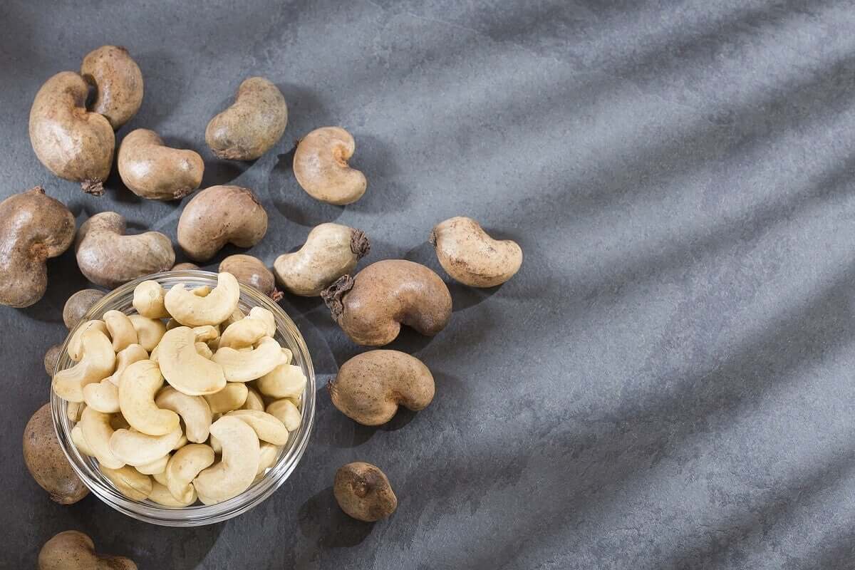Punhado de castanhas de caju