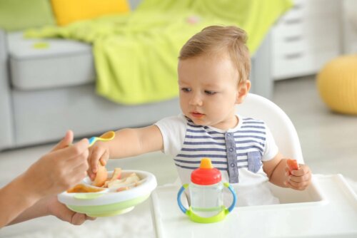 Oferecer alimentos ao bebê