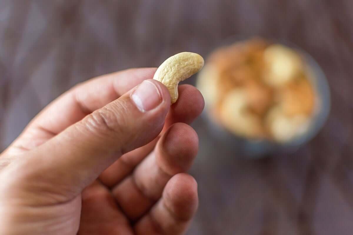 Castanha de caju
