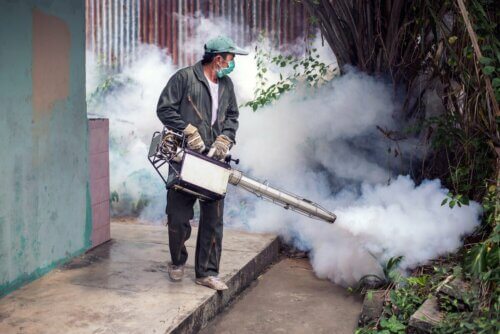 Doenças transmitidas por mosquitos