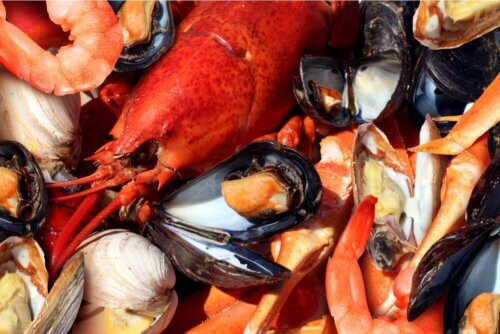 Frutos do mar