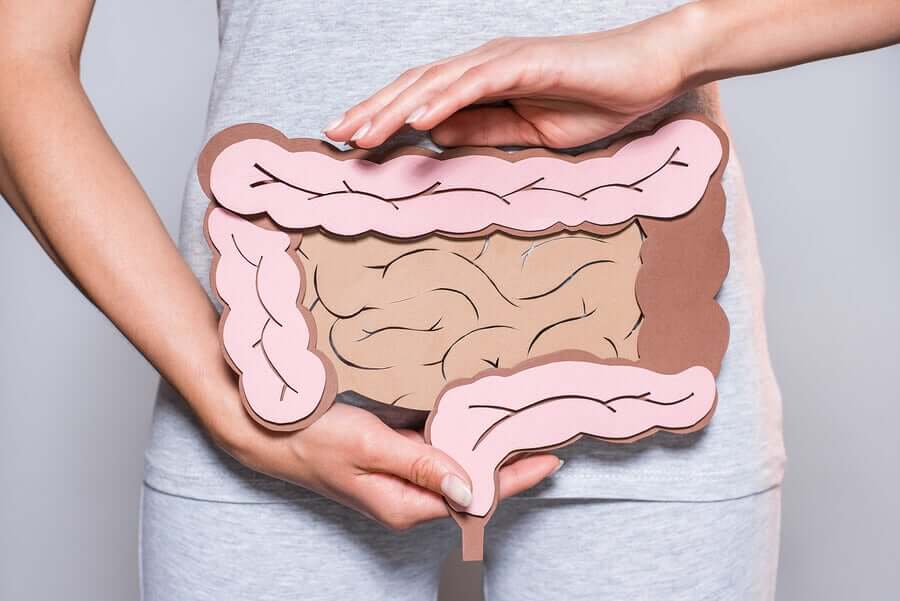 Saúde intestinal