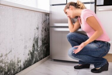O mofo em casa causa problemas de saúde?