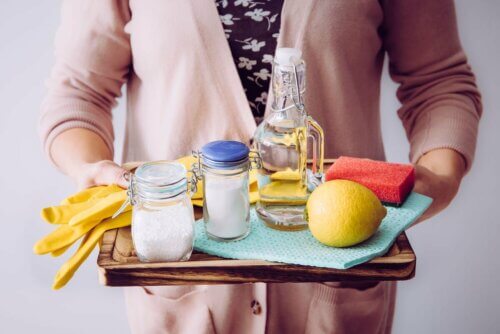 Produtos naturais de limpeza