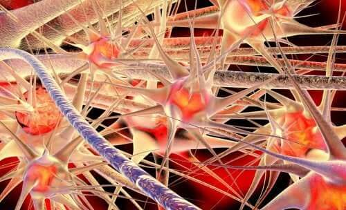 Ligações entre neurônios