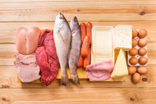 Fontes de proteína animal