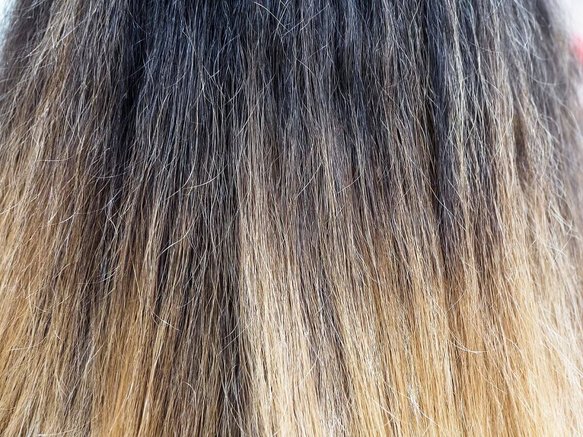 Cabelo danificado