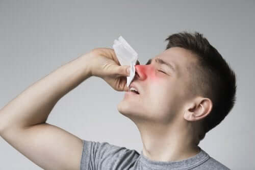 Pólipos no nariz: sintomas, causas e tratamento