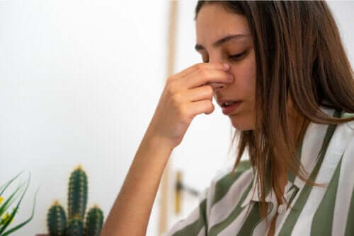 Perfuração do septo nasal: causas, sintomas e tratamento