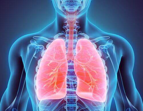Saúde dos pulmões