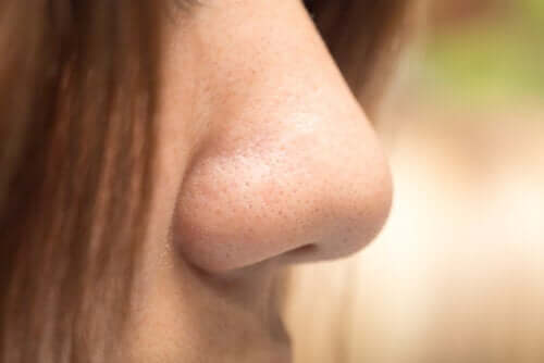 Tipos de nariz: você sabe qual é o seu?