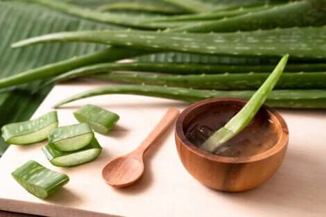 Gel de aloe vera