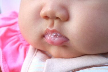 Curiosidades sobre a saliva