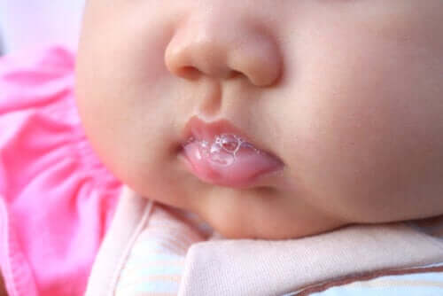 Curiosidades sobre a saliva