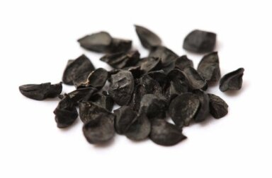 Cebola negra: propriedades nutricionais e benefícios para a saúde