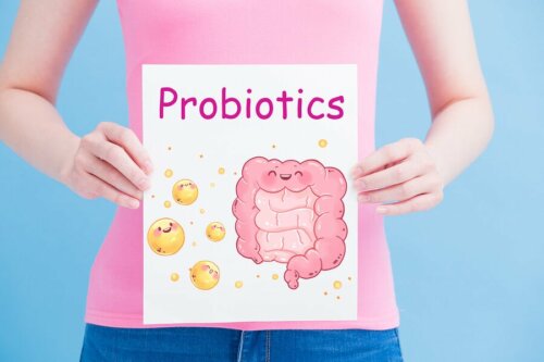 Microbioma, dieta e a saúde intestinal