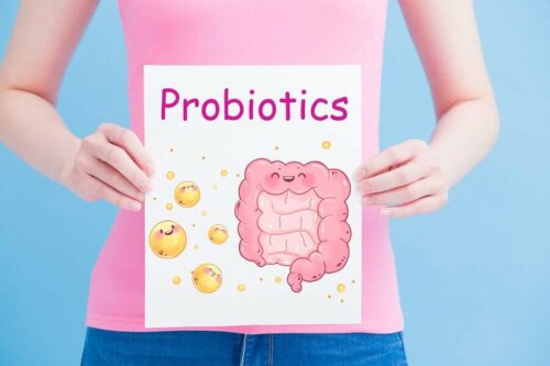 Microbioma, dieta e a saúde intestinal