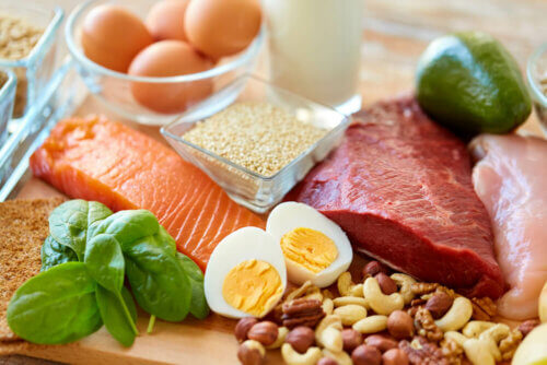 Fontes de proteína na dieta low carb