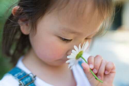 Hiperosmia, a sensibilidade excessiva a odores