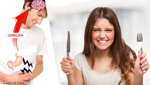 Grelina: principais funções e mecanismos de ação