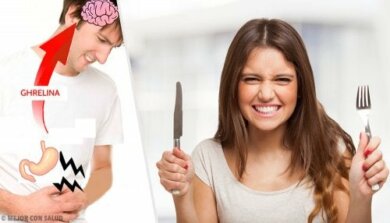 Grelina: principais funções e mecanismos de ação