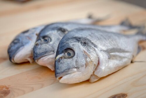 Peixes frescos