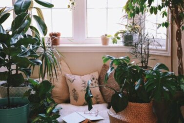 Ideias para criar um canto relaxante em casa