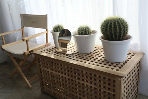 Decoração com plantas