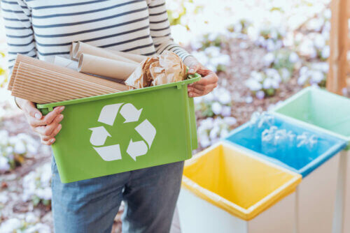 A importância de reciclar