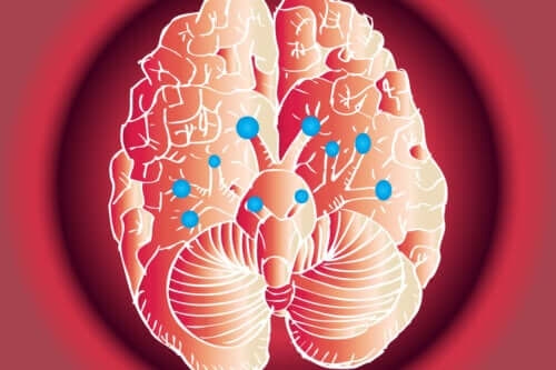 As funções dos 12 nervos cranianos
