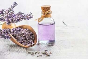 As 6 melhores plantas medicinais com suporte científico