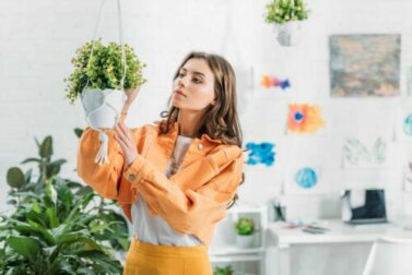 Como fazer um vaso artesanal suspenso para pendurar suas plantas?