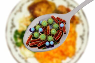Microrganismos patogênicos que podem estar nos alimentos