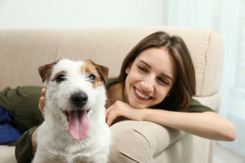 Adotar um cachorro para combater a nostalgia