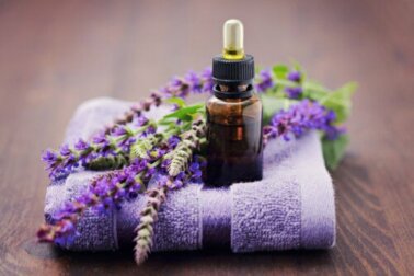 O que são os antibióticos naturais?