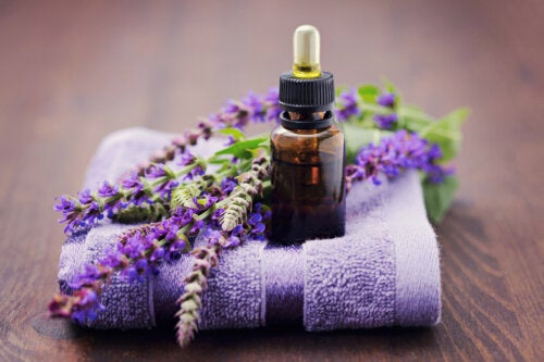 O que são os antibióticos naturais?