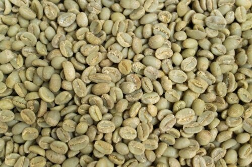 Os benefícios do café verde que você precisa conhecer