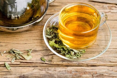 O consumo de chá verde e chá preto reduz o risco de AVC