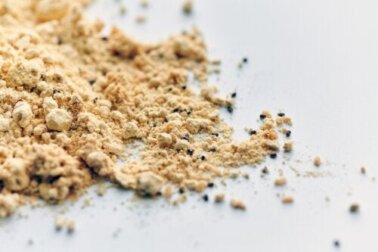 Dicas para se livrar dos gorgulhos na cozinha