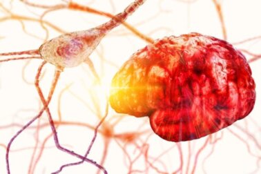 Estrutura e partes dos neurônios