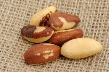 Castanha-do-pará: propriedades, nutrição e usos na cozinha