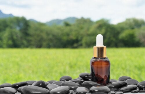 Óleo de rícino preto jamaicano: origem e propriedades