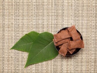 Tipos de tabaco sem fumaça e o impacto deles na saúde