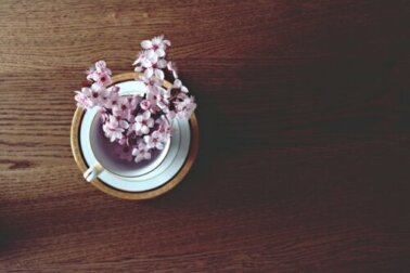 Como preparar um chá de flor de cerejeira para combater a retenção de líquidos