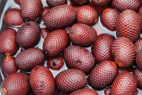 Buriti, uma fruta amazônica