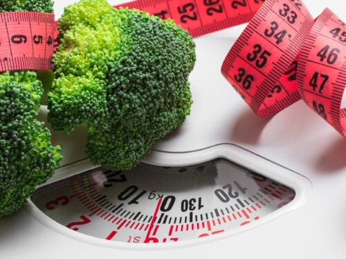 Controlar a quantidade de comida para perder peso