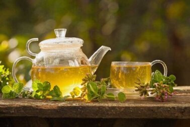 Infusões medicinais para combater as varizes