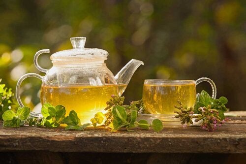 Infusões medicinais para combater as varizes