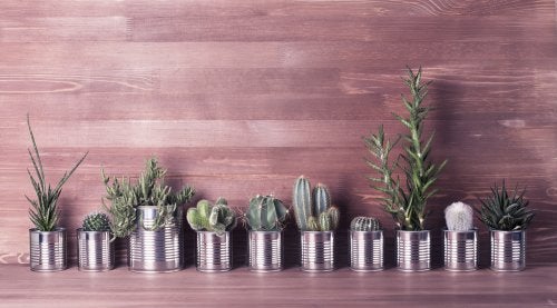 3 ideias engenhosas para reciclar latas de alumínio