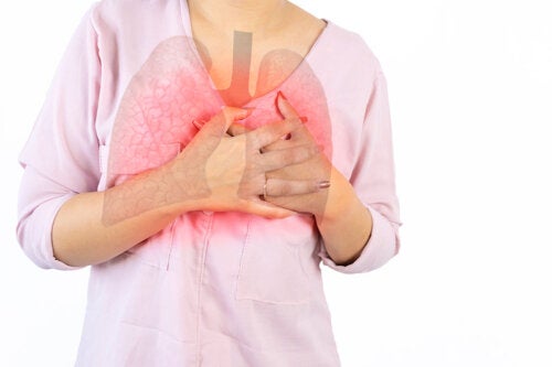 Remédios caseiros para tratar os brônquios congestionados